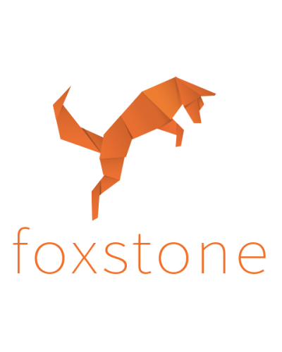 7 questions to a start-up: Foxstone