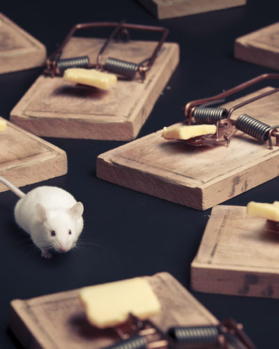 Chart of the Month – Building the perfect mousetrap for capturing alpha